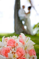 Click for Slideshow...