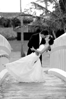 Click for Slideshow...