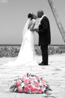 Click for Slideshow...