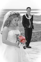 Click for Slideshow...